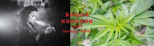 ГАЛЛЮЦИНОГЕННЫЕ ГРИБЫ Приозерск