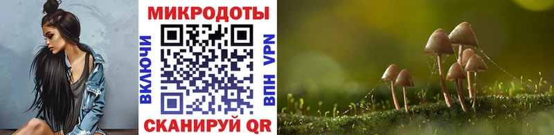 Купить где  Пролетарск  Галлюциногенные грибы GOLDEN TEACHER 